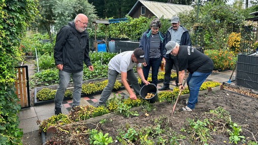 Eine Gruppe Personen erntet Kartoffeln in einem Kleingarten