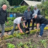 Eine Gruppe Personen erntet Kartoffeln in einem Kleingarten