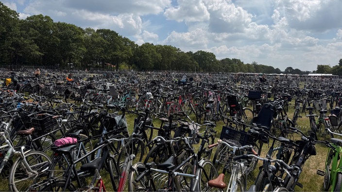 Viele Fahrräder auf einer Wiese.