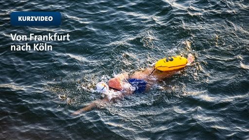 Extremschwimmerin Nathalie Pohl startet Rivers-Challenge | tn 