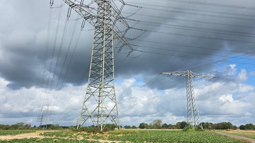 Auf einem Feld stehen zwei hohe Strommasten