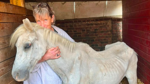 Eine Frau umarmt das agemagerte, weiße Pony. 