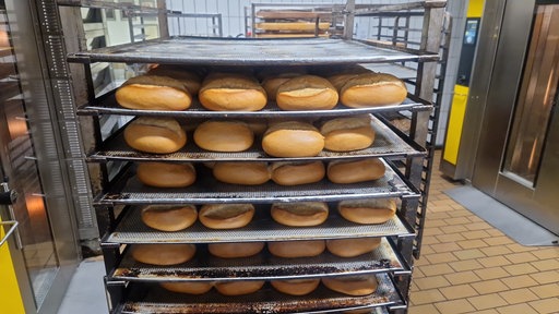 Ein Regalwagen mit etlichen Brötchen in einer Backstube