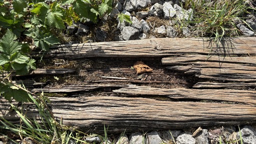 Marode Schwellen aus Holz auf der Strecke der Museumsbahn sind im Detail zu sehen