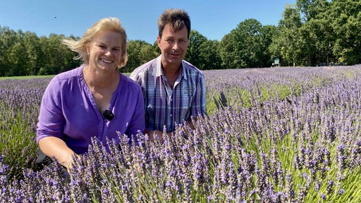 Kerstin und Johannes Sprünken in ihrem Lavendelfeld in Straelen.