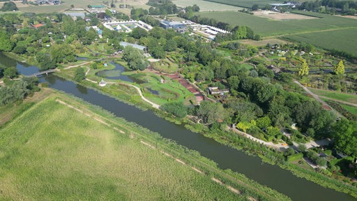 Grüner Park von oben