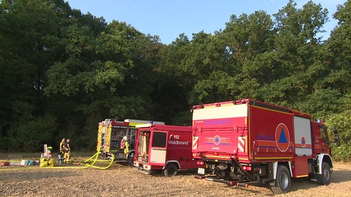 Drei Einsatzwagen der Feuerwehr stehen auf einem trockenen Feld. Dahinter mehrere Bäume