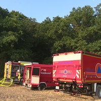 Drei Einsatzwagen der Feuerwehr stehen auf einem trockenen Feld. Dahinter mehrere Bäume