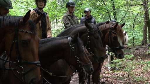 Personen auf Pferden im Wald.