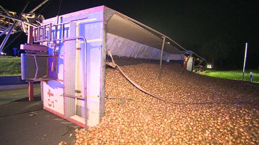 Ein umgekippter LKW liegt auf einer Bundesstraße und Zwiebeln liegen auf der Straße