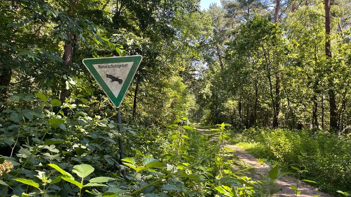 Ein Waldweg, daneben ein Schild mit der Aufschrift "Naturschutzgebiet".
