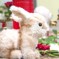 Ein Stoffhase ist im Vordergrund und im Hintergrund Grableuchten