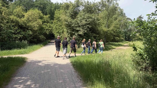 Gruppe aus sieben Menschen läuft einen Waldweg entlang.