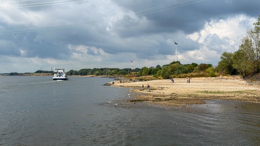 Mehrere Buchten zwischen Buhnen am Rhein bei Voerde