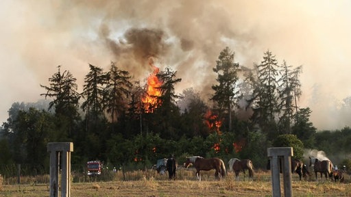 Waldbrand in Sonsbeck