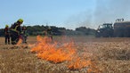 Mehrere Meter Stroh entzündet die Feuerwehr für die Übung