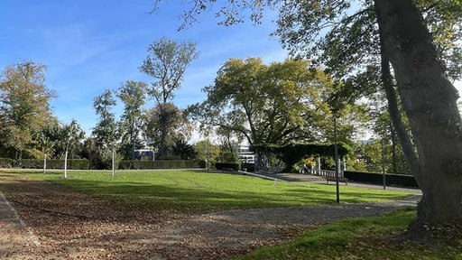 Der Hans-Jonas-Park in Mönchengladbach: Es ist eine Wiese mit Bäumen zu sehen. Der Park ist auf dem Bild menschenleer.