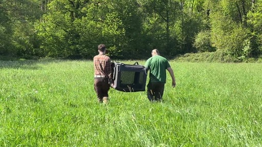 Zwei Männer tragen eine Tasche über eine Wiese 