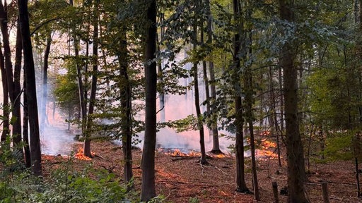 Die Waldbrände sind eingedämmt, doch Brandherde und Glutnester entfachen die Feuer immer wieder aufs Neue.