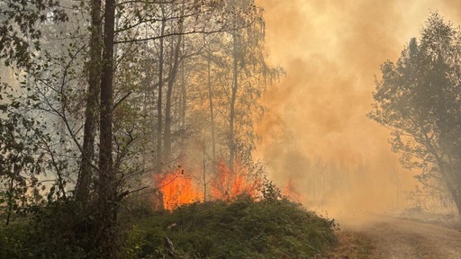 Der Brand bei Hürtgenwald ist der bisher größte Waldbrand dieses Sommers in Deutschland.