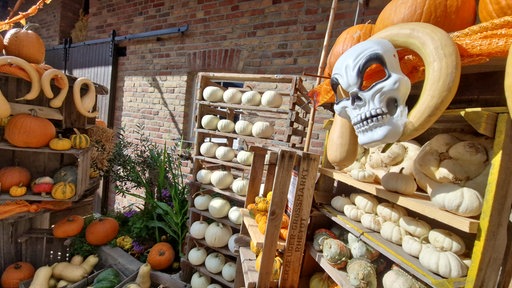 Vor einem Hofgebäude stehen und liegen herbstlich verschiedenen Kürbisse auf Regalen. Eine gruselige Maske ist als Halloween-Deko angebracht.