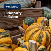 Kürbisse verschiedener Gattungen liegen in Holzkisten