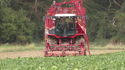 Rübenroder fährt über ein Feld 