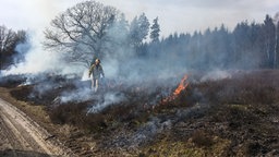 Ein Mann gießt aus einer Kanne ein Benzin-Diesel-Gemisch auf die Heide