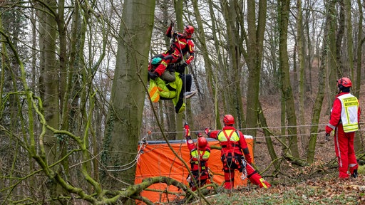 Einer der Rettungskräfte seilt sich mit dem Paragleiter vom Baum ab. 