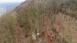 Luftaufnahme: Der abgestürzte Paragleiter hängt in der Baumkrone, die Rettungskräfte stehen am Boden