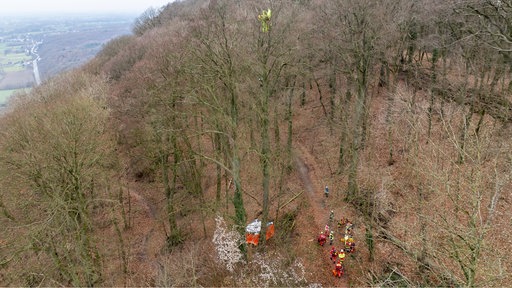 Luftaufnahme: Der abgestürzte Paragleiter hängt in der Baumkrone, die Rettungskräfte stehen am Boden