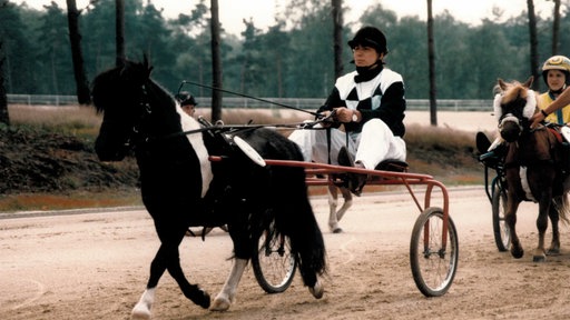 Ein Mensch sitzt auf einer Kutsche und lässt sich von Pony Whisky ziehen. 