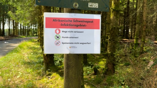 Ein Warnschild hängt am Baumstamm