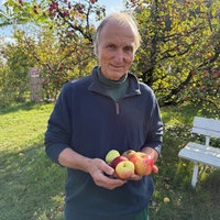 Ein älterer Mann hält Äpfel in der Hand. Er steht zwischen Apfelbäumen. Er trägt eine dunkelblaue Jacke.