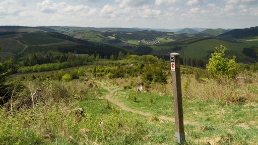 Panorama-Blick vom Kahler Asten-Steig
