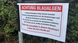 Schild mit Aufschrift Achtung Blaualgen