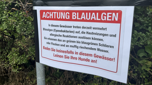 Schild mit Aufschrift Achtung Blaualgen