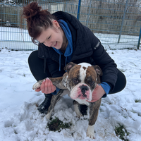 Hund mit Mensch dahinter