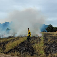 gezielte Brandsetzung