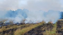 gezielte Brandsetzung