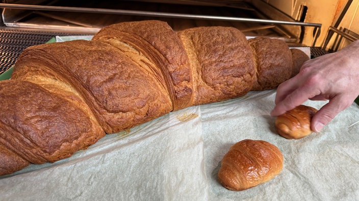 Das vermeintlich größte Croissants der Welt
