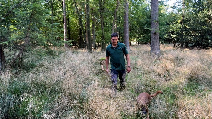 Ein Mann läuft mit Spaten in der Hand über eine Lichtung. Neben ihm ist ein Hund 