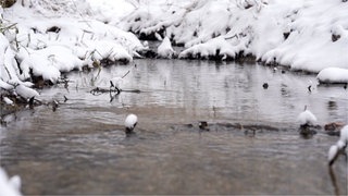 eine Pfütze umgeben von Schnee