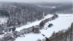 verschneiter Wald von oben
