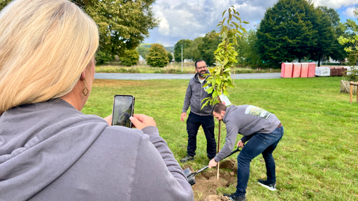 Zwei Personen pflanzen einen Baum, eine Frau fotografiert das mit dem Handy.