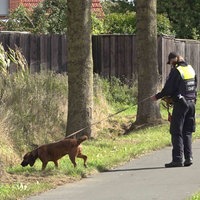 Polizistin mit Hund