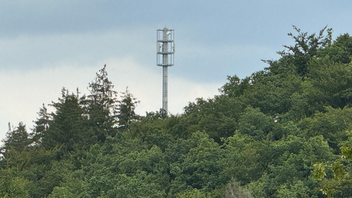 Im Vordergrund ist ein Wald und aus den Baumkronen ragt ein Funkmast.