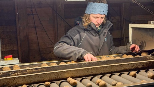 Riesenernte drängt Landwirte zu kreativen Lösungen 