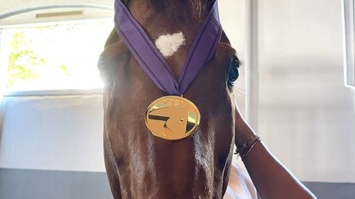 Auf Katharina Hemmers Pferd liegt die Medaille.