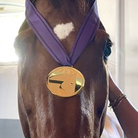 Auf Katharina Hemmers Pferd liegt die Medaille.